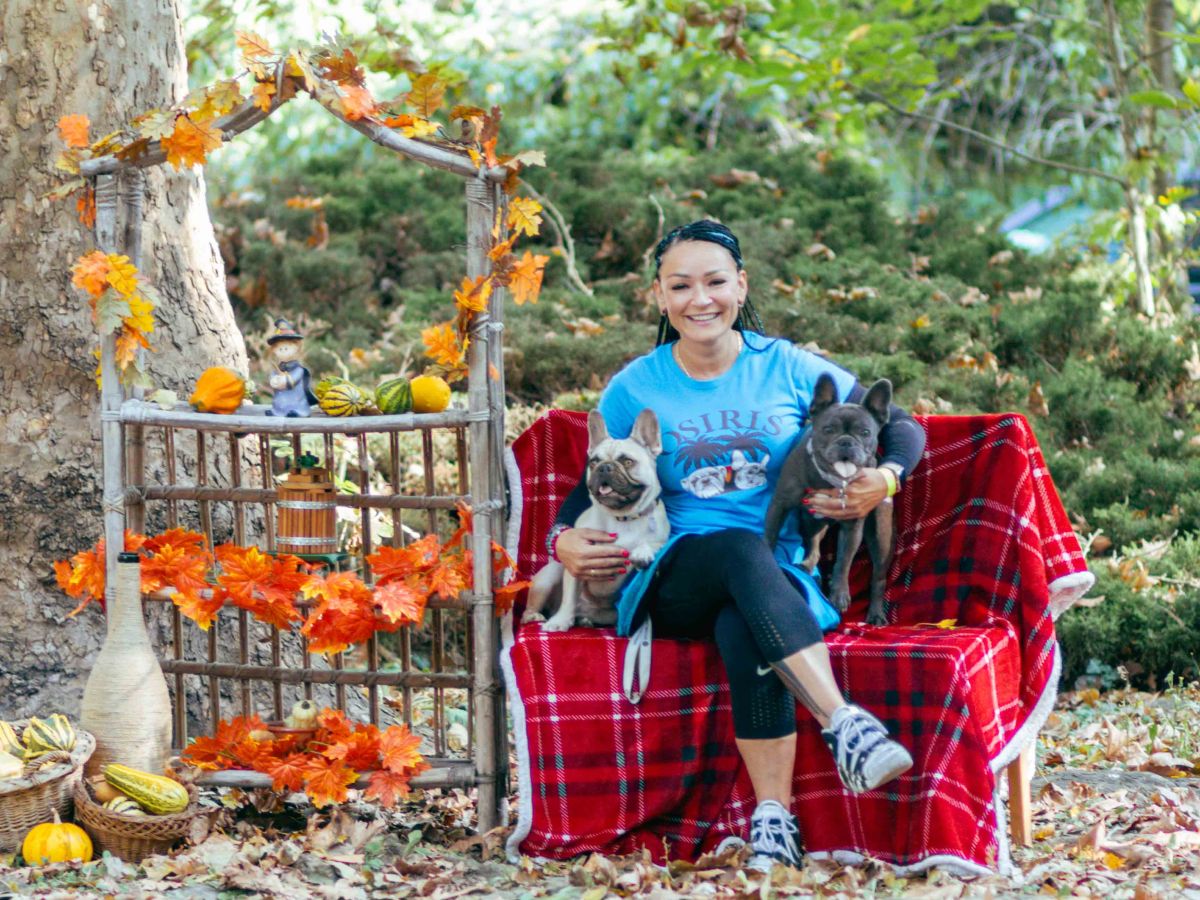 Bulldogok világnapja – jótékonysági&nbsp;találkozó