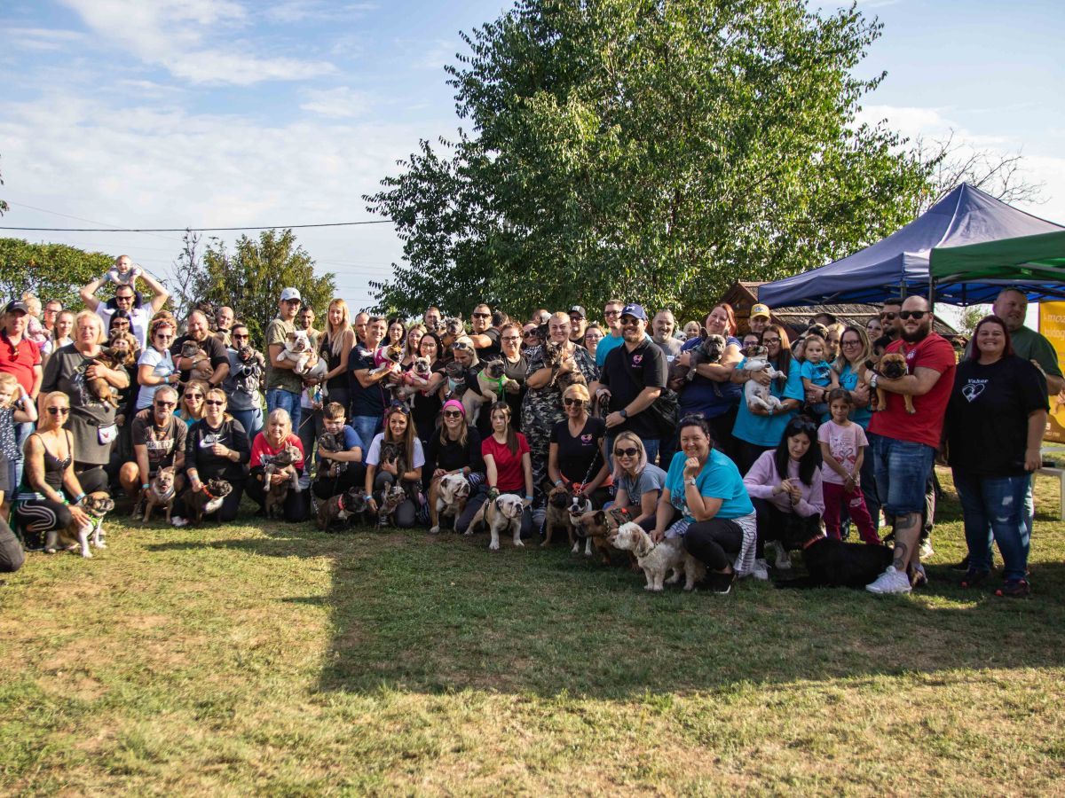 Jótékonysági Bulldogtalálkozó – Délegyháza&nbsp;2025.09.27.